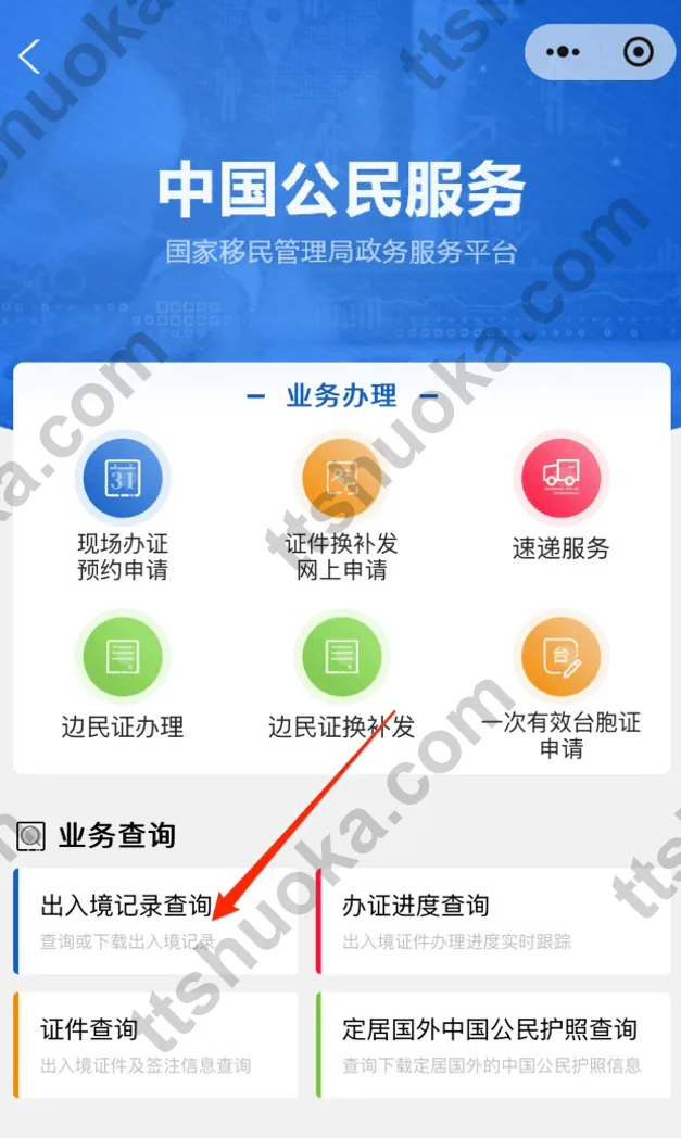 出入境记录PDF示意图