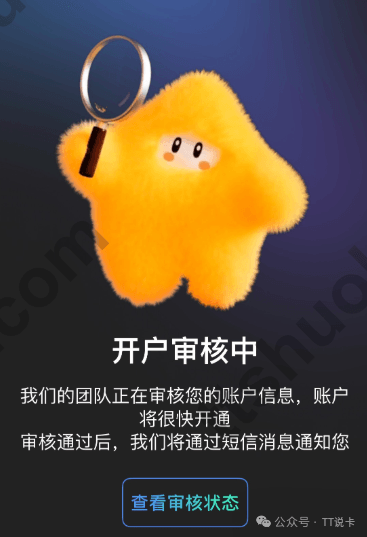 Starryblu开户注册资料审核中页面