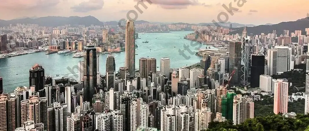 香港券商内地存量用户业务调整主视觉图