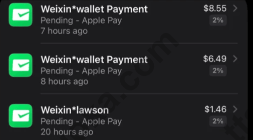TenPayGo 交易记录示意,显示 Weixin wallet Payment 和 Apple Pay 待处理交易